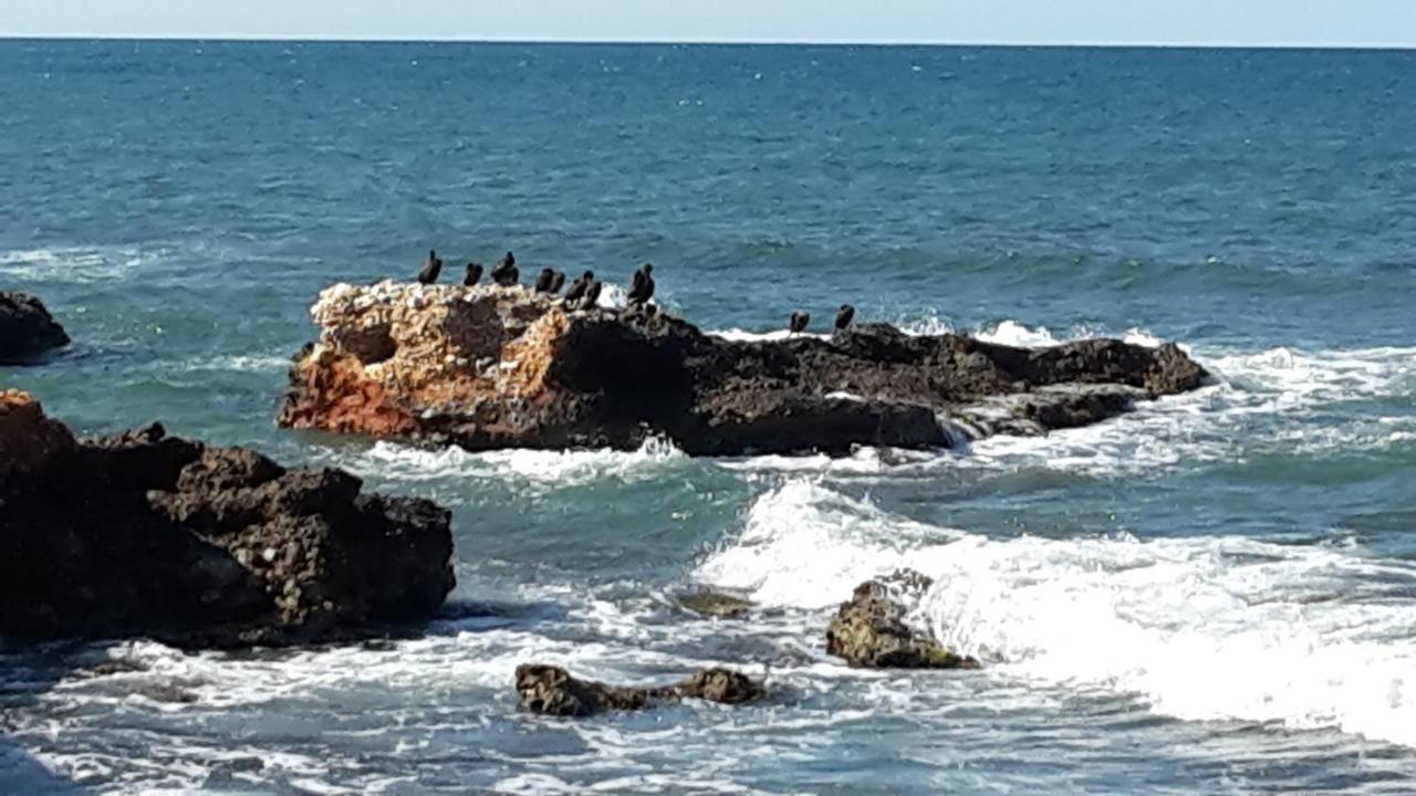 Precioso Apart Sur Y Norte Cerca Playa Y Centro - Cascadas De La Marina Denia Exteriér fotografie