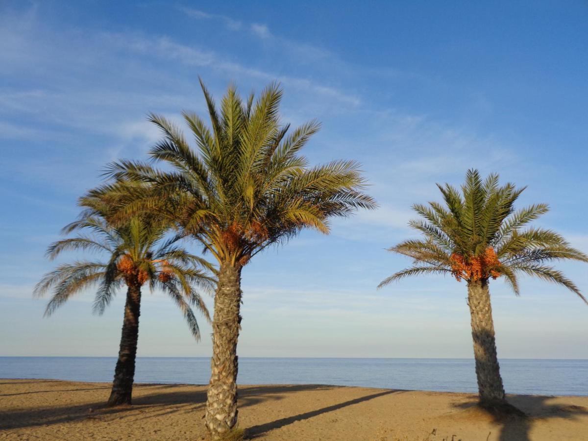 Precioso Apart Sur Y Norte Cerca Playa Y Centro - Cascadas De La Marina Denia Exteriér fotografie